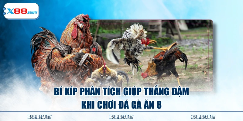 Bí kíp phân tích giúp thắng đậm khi chơi đá gà ăn 8