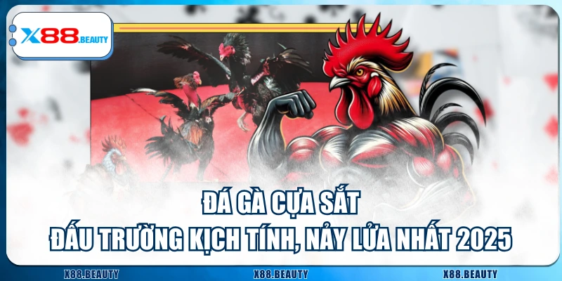 Đá Gà Cựa Sắt - Đấu Trường Kịch Tính, Nảy Lửa Nhất 2025