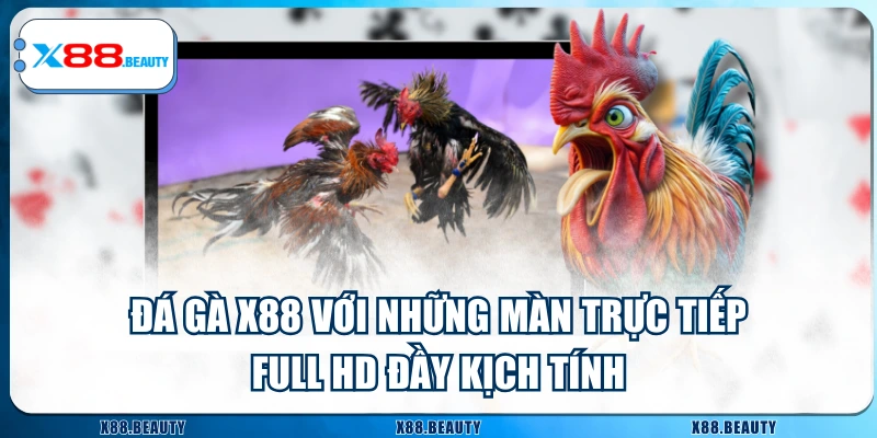 Đá Gà X88 Với Những Màn Trực Tiếp Full HD Đầy Kịch Tính