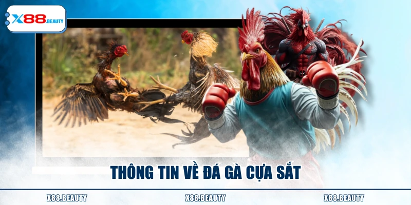 Thông tin về đá gà cựa sắt