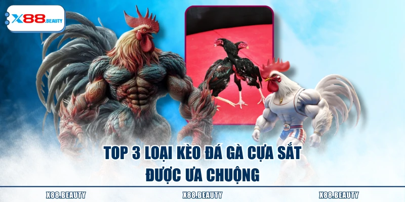 Top 3 loại kèo đá gà cựa sắt được ưa chuộng