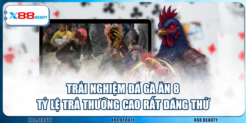 Trải Nghiệm Đá Gà Ăn 8 - Tỷ Lệ Trả Thưởng Cao Rất Đáng Thử