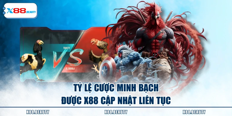 Tỷ lệ cược minh bạch được X88 cập nhật liên tục